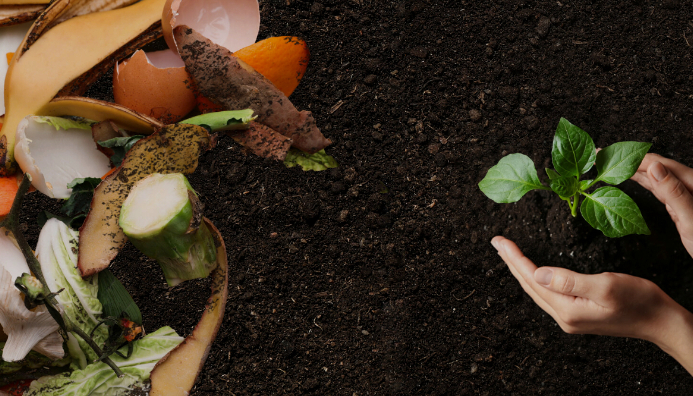 Curso De Abonos Orgánicos Y Bioinsumos
